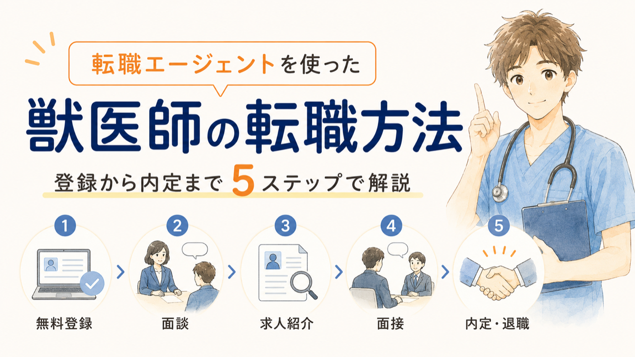 転職エージェントを使った獣医師の転職方法|登録から内定まで5ステップで解説