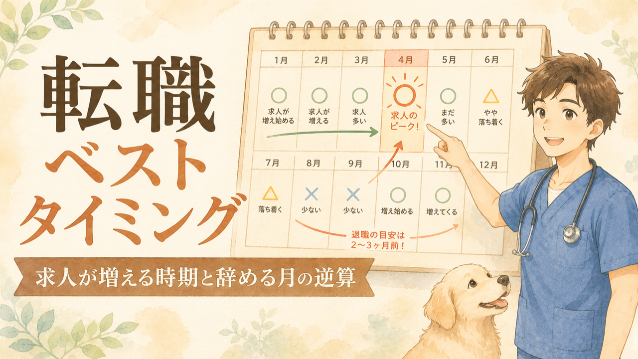 獣医師の転職ベストタイミング|求人が増える時期と「辞める月」の逆算