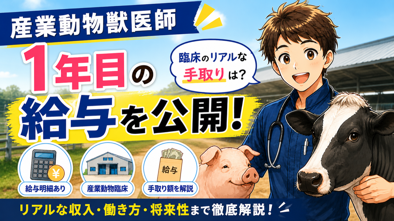 産業動物獣医師1年目の給与を公開!臨床のリアルな手取り