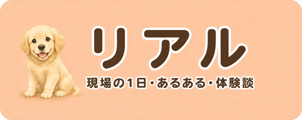 獣医師のリアル|現場の1日・あるある・体験談