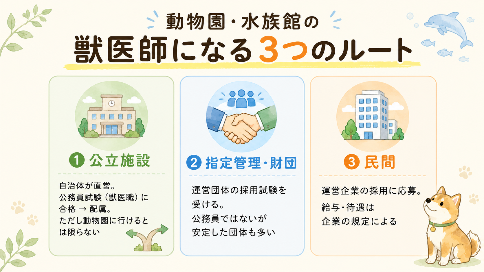 動物園・水族館の獣医師になる3つのルート(公立・指定管理財団・民間)の図解